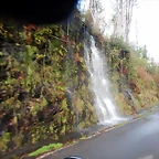 DSCN3298