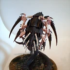 Mawloc Tirnido (1)