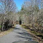DSCN8034