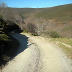DSCN2950