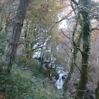 DSCN6676