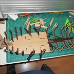DSCN0970