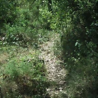 PICT0082