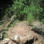 PICT0079