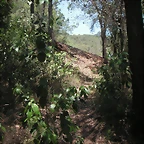 PICT0083