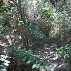 PICT0081