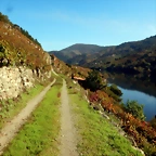DSCN4635