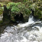 DSCN5749