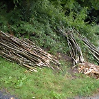 DSCN4772