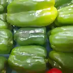 Pimiento morron verde