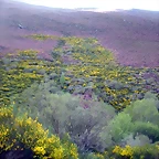 DSCN5144