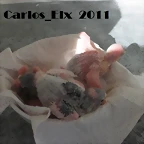 todos 16-2-11