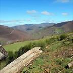 DSCN9104