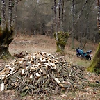 DSCN2967
