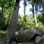 DSC03384