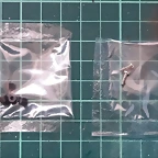 20250604_113710