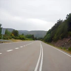 DSCN6544