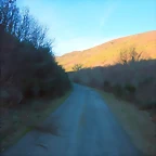 DSCN4095