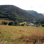 DSCN4375