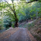 DSCN9182