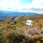 DSCN5008