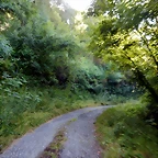 DSCN9217