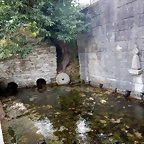 DSCN4361