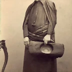 P. benedictino