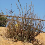 DSC05849_2947x1958