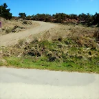 DSCN9139