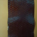 DSC06981