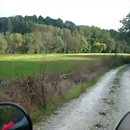 DSCN5264