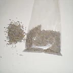 P1080028