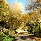 DSCN9589