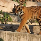 Zoo de Barcelona 19-02-12 694