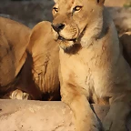 Zoo de Barcelona 19-02-12 708