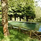 DSCN2062