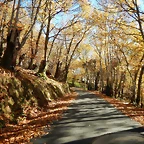 DSCN9163