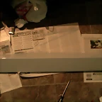 SAM_0206_resize