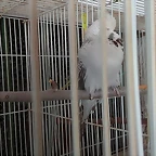 IMG-20180423-WA0031