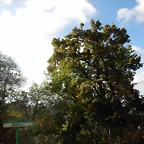 DSCN1218