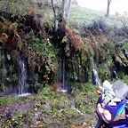 DSCN2936