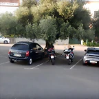 DSCN4929'3