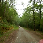 DSCN4704