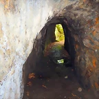 DSCN1386