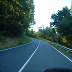 DSCN6809