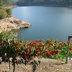 DSCN7534