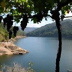 DSCN7561