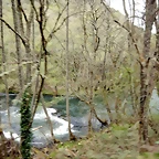 DSCN3678