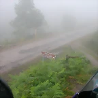 DSCN3959